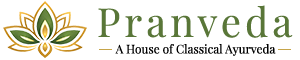 PRANVEDA PRIVATE LIMITED